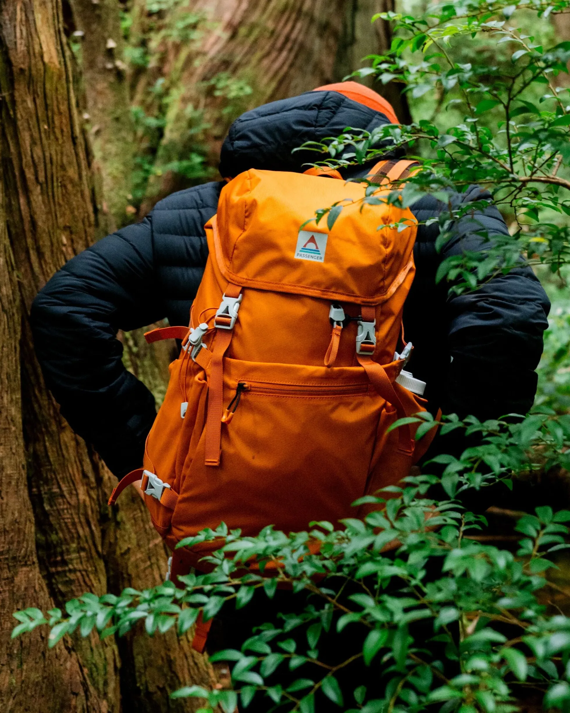 Trailscape 24L Backpack