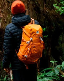 Trailscape 24L Backpack