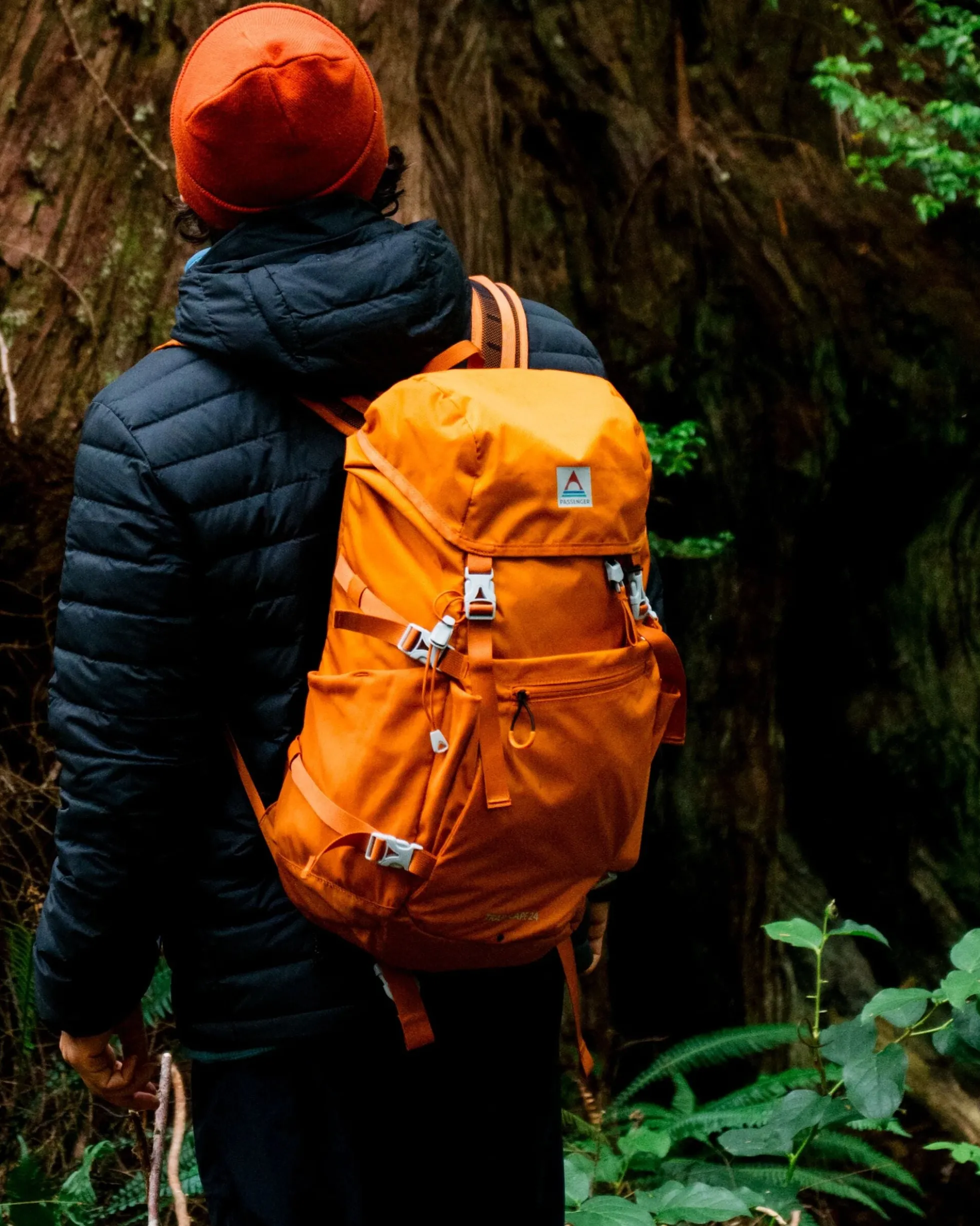 Trailscape 24L Backpack