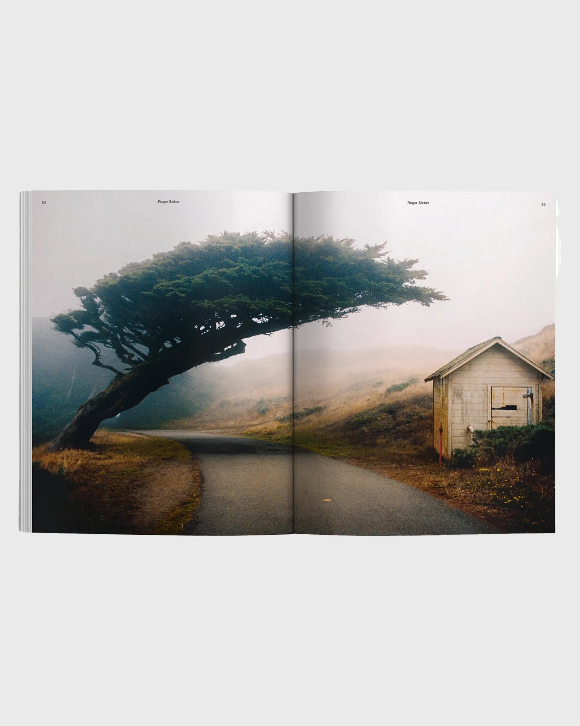 Waves & Woods Issue 39